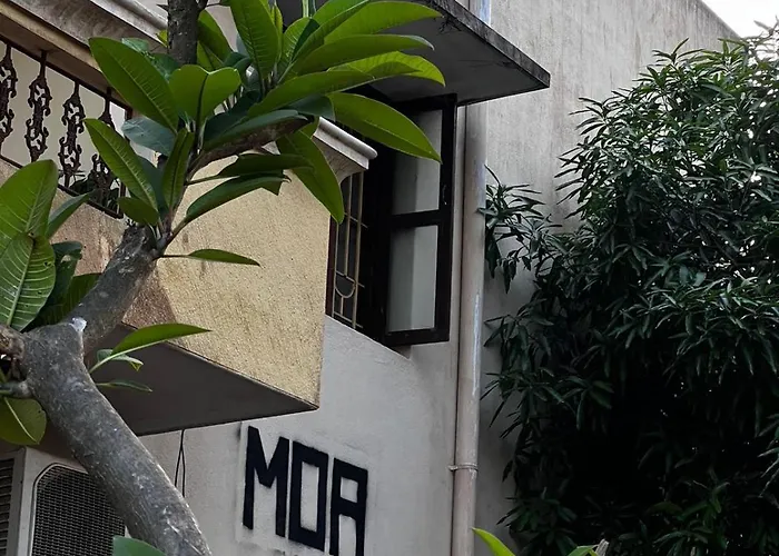 Moa Auroville Pondicherry