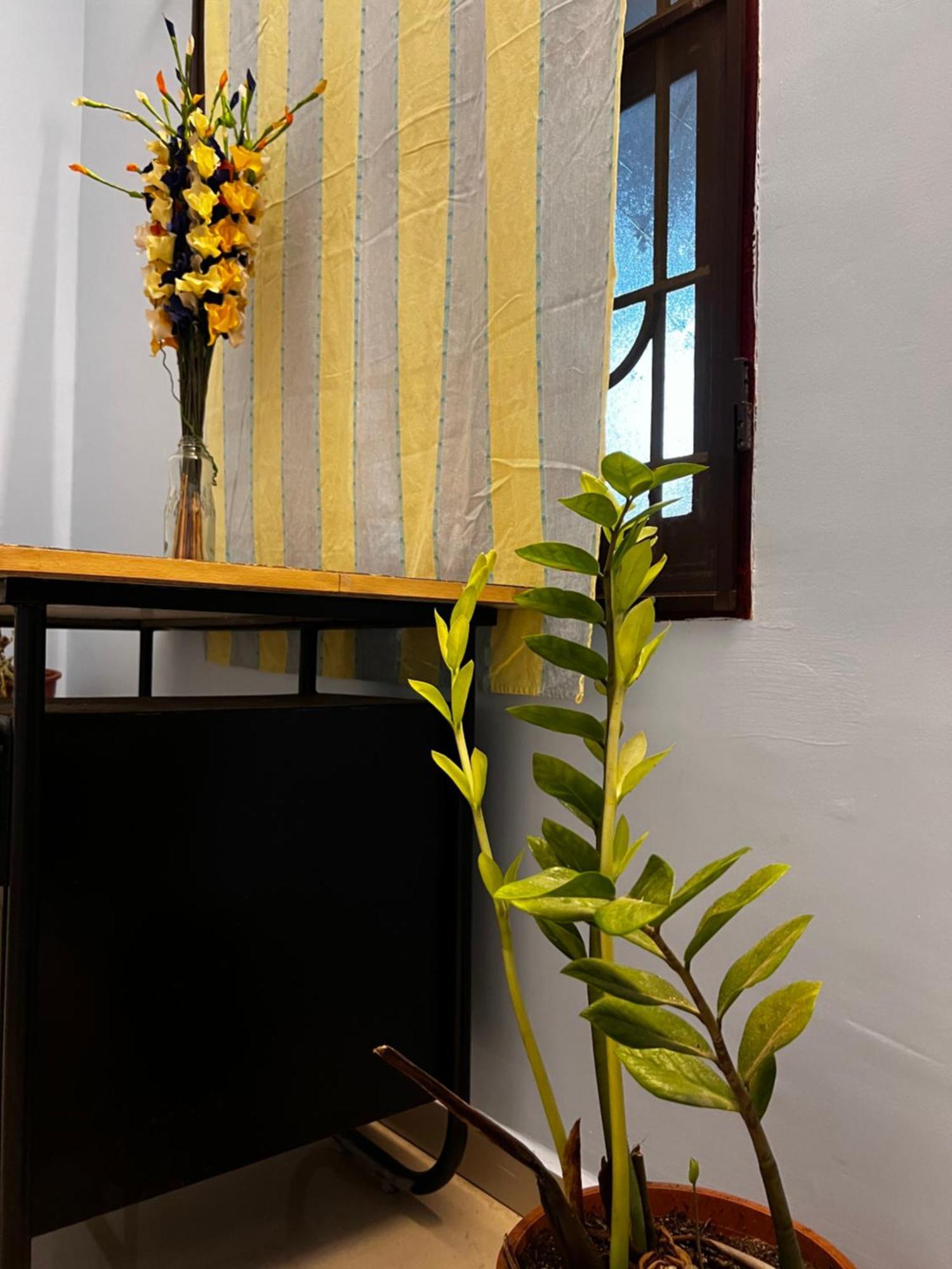 Homestay Moa Pondicherry